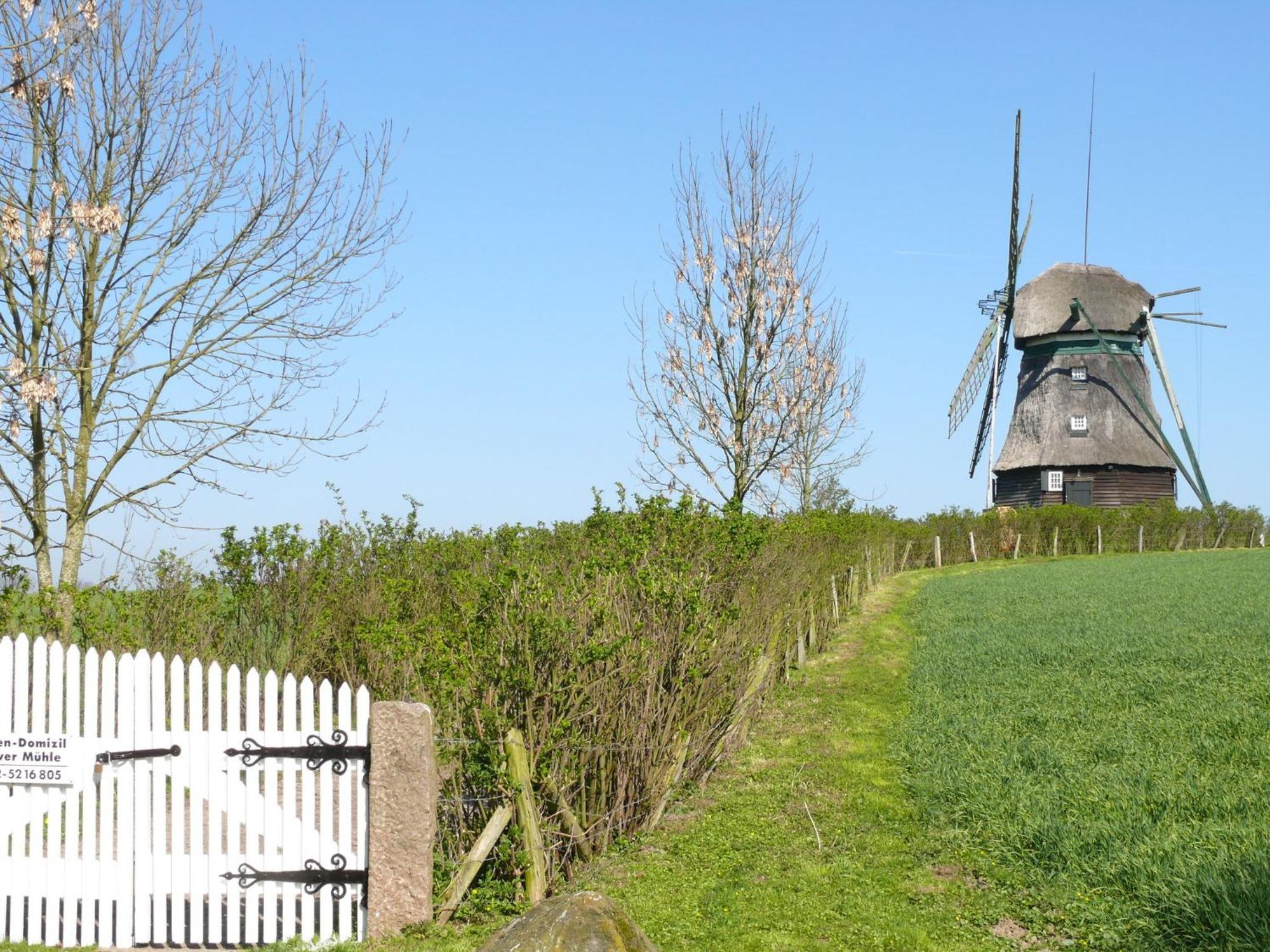 Beautiful Authentic Mill Close To The Beach Wangels Buitenkant foto