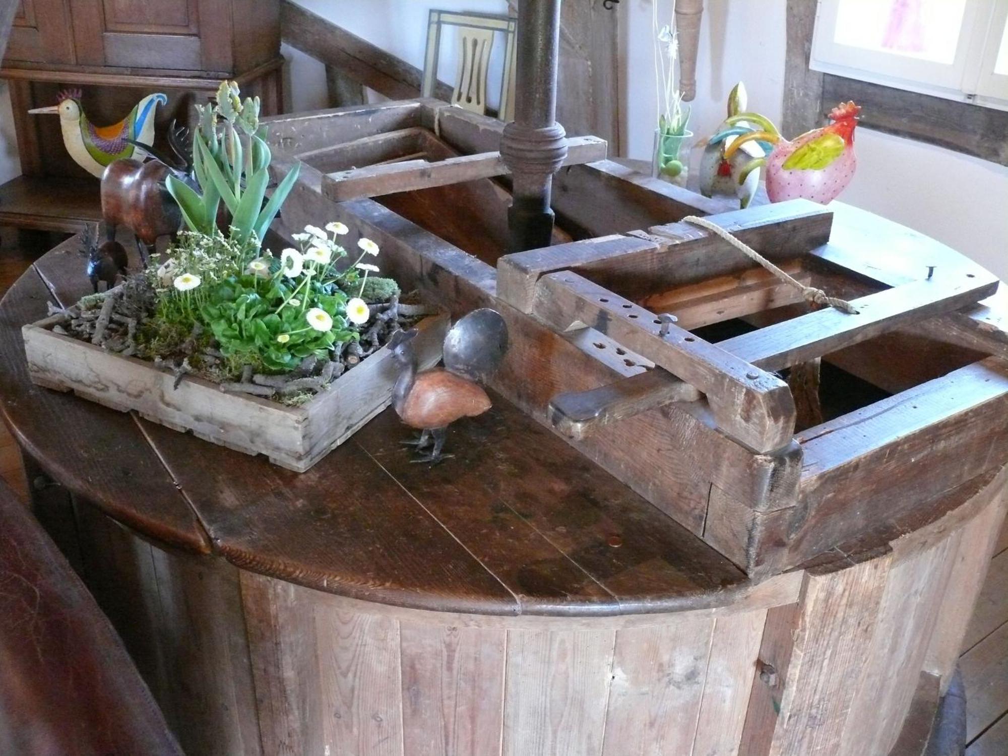 Beautiful Authentic Mill Close To The Beach Wangels Buitenkant foto